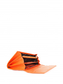 Гаманець Bella Bertucci модель 150-374 Фото