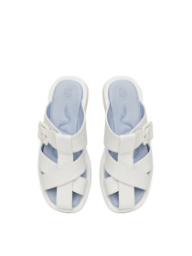 Шлепанцы Alex Bell модель 1169781 Фото