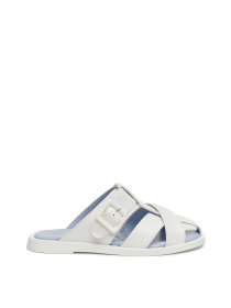 Шльопанці Alex Bell модель 1169781 Шльопанці Alex Bell модель 1169781 Фото