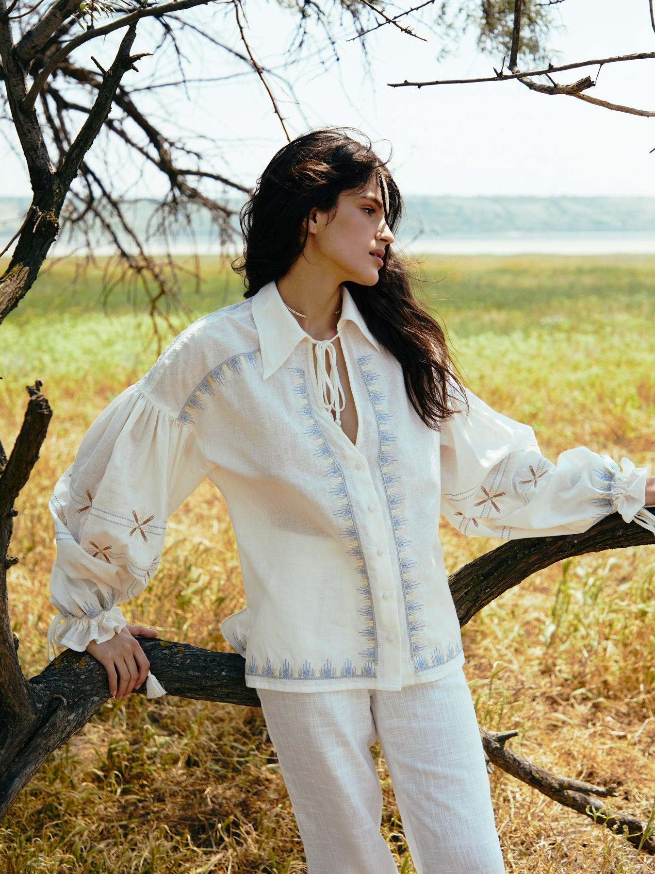 Вишита сорочка Gepur модель 42491 Фото