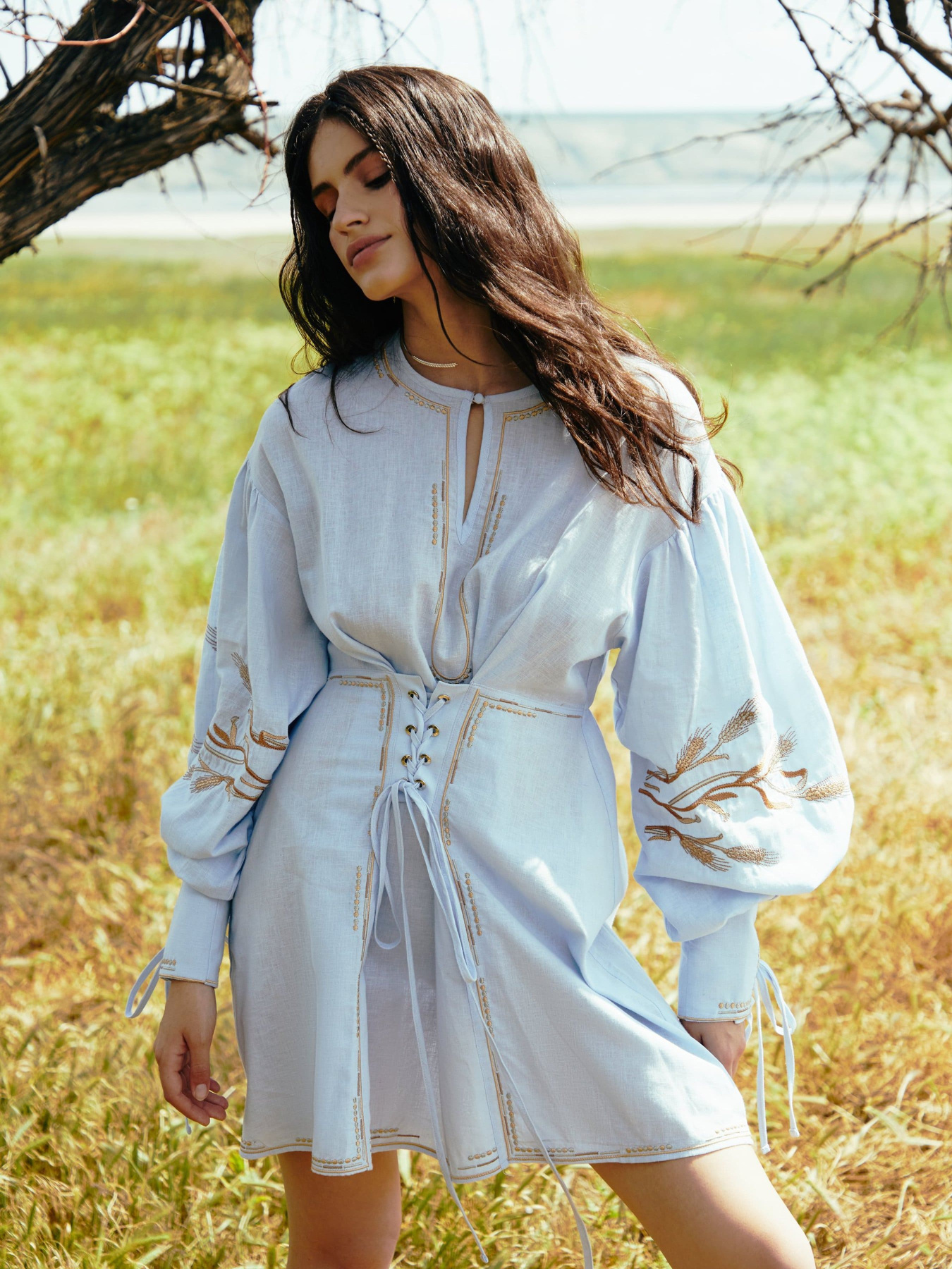 Вышитое платье Gepur модель 42619 Фото