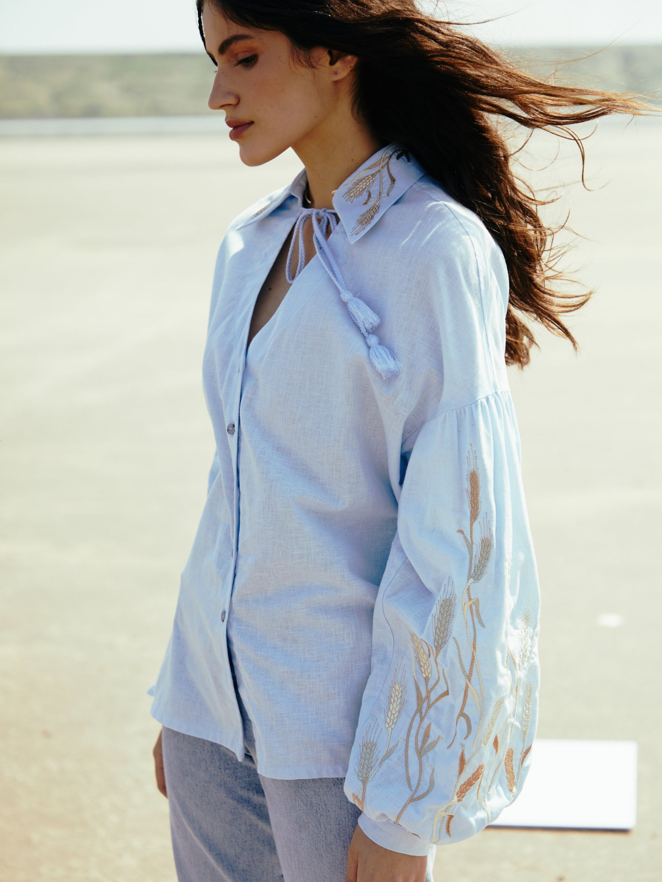 Вышитая рубашка Gepur модель 42621 Фото