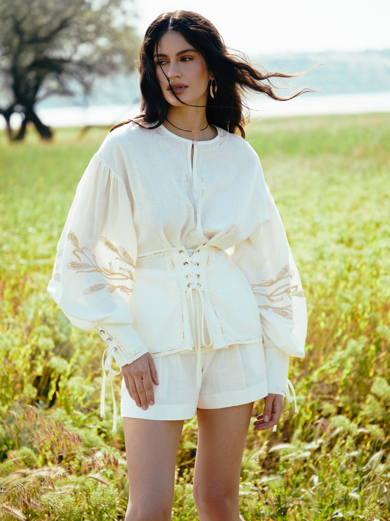 Вишита сорочка Gepur модель 42623 Вишита сорочка Gepur модель 42623 Фото