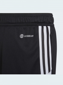 Шорти спортивні Adidas Condivo модель HA6282 Фото