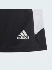 Шорты спортивные Adidas Condivo модель HA6282 Шорты спортивные Adidas Condivo модель HA6282 Фото