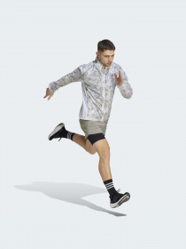 Шорти спортивні Adidas модель IB8933 Фото