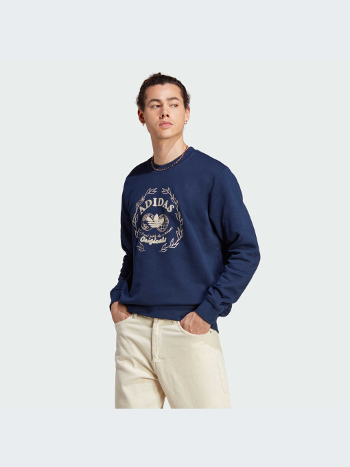 Свитшот Adidas Graphics модель IC5769 Фото