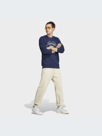 Худи и свитшоты Adidas Graphics модель IC5769 Фото