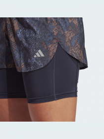 Шорты Adidas модель HS8612 Фото