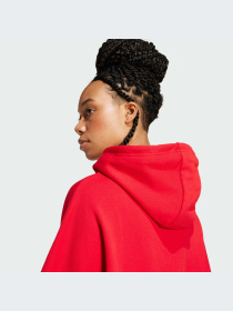 Худи Adidas Adicolor модель IC5379 Фото