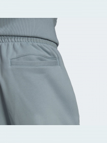 Брюки повседневные Adidas Adicolor модель HC4537 Фото