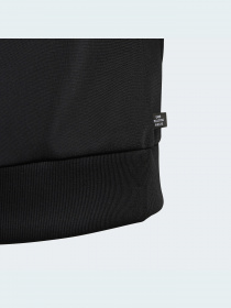 Кофта Adidas Adicolor модель HB9461 Кофта Adidas Adicolor модель HB9461 Фото