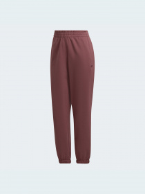 Джоггеры Adidas Adicolor модель HC7097 Фото