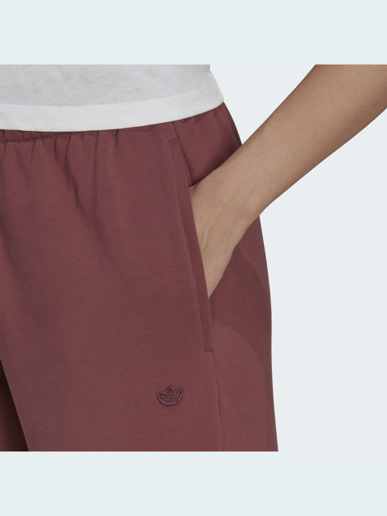 Джоггеры Adidas Adicolor модель HC7097 Фото