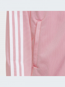 Кофта Adidas Adicolor модель HK0299 Фото