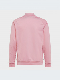 Кофта Adidas Adicolor модель HK0299 Кофта Adidas Adicolor модель HK0299 Фото