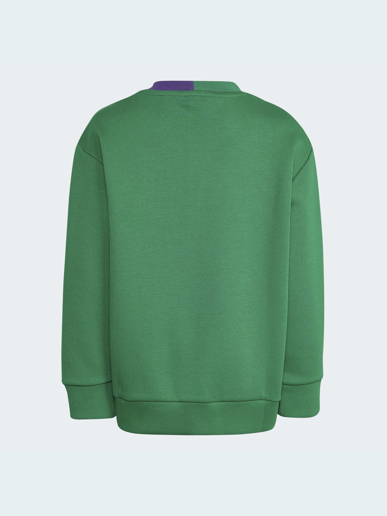 Повсякденний костюм Adidas модель HM2199 Фото