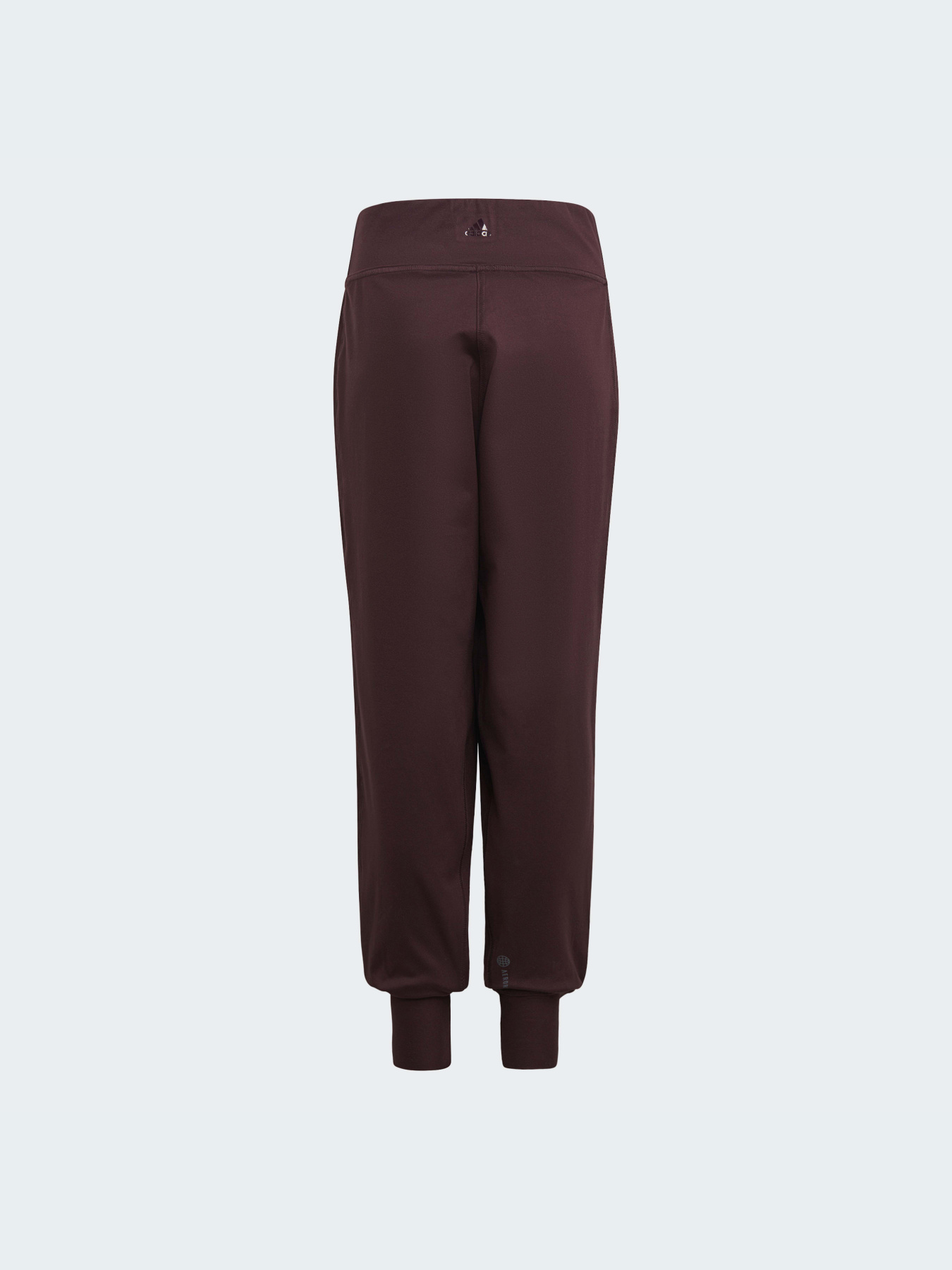 Джоггеры Adidas модель HM4438 Фото