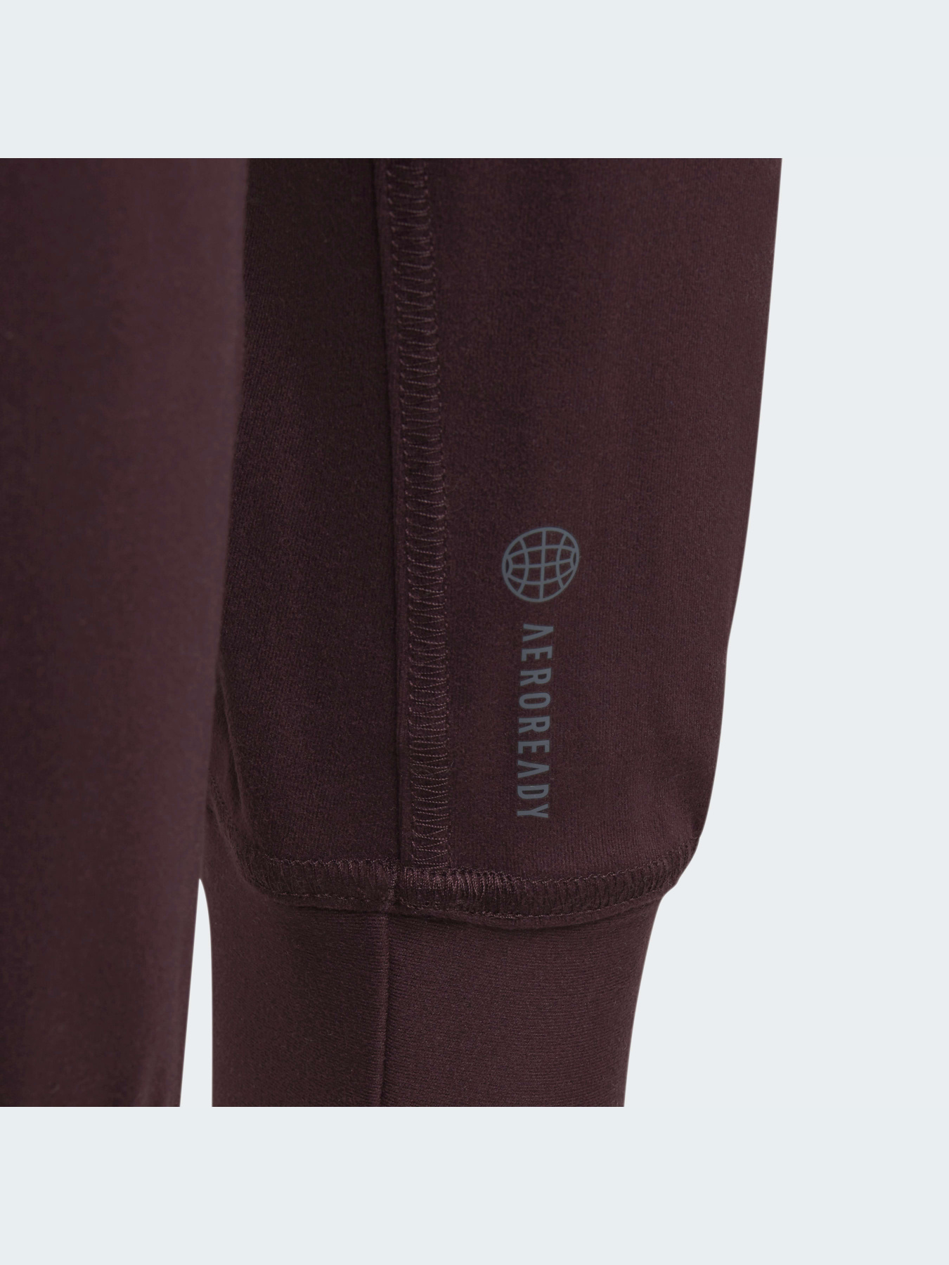 Джоггеры Adidas модель HM4438 Фото