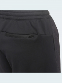 Джоггеры Adidas модель HM2059 Фото