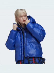 Зимняя куртка Adidas модель HF4510 Фото