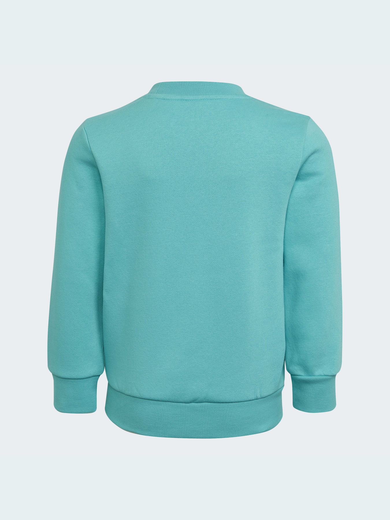 Спортивный костюм Adidas Adicolor модель HS8872 Фото