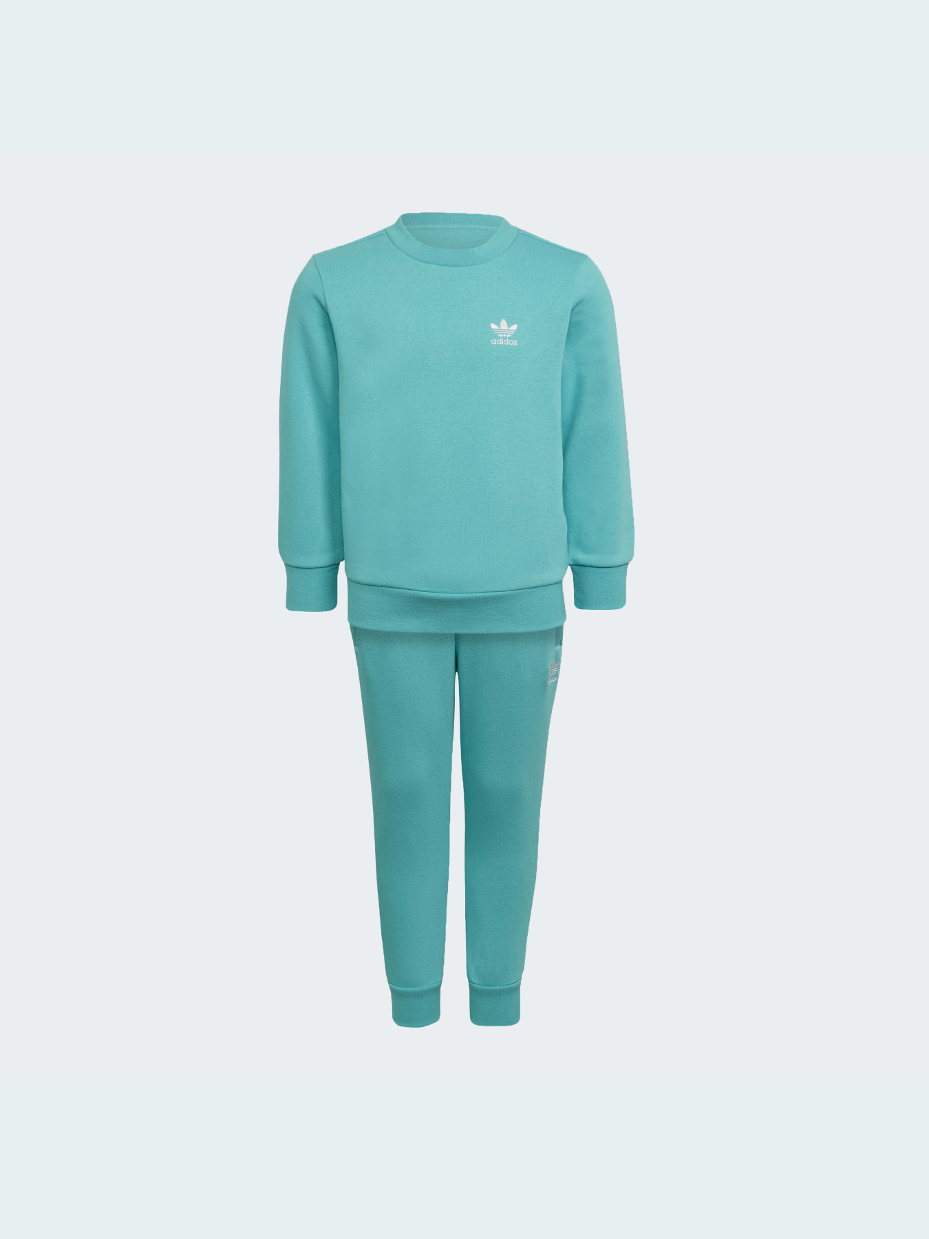 Спортивный костюм Adidas Adicolor модель HS8872 Фото