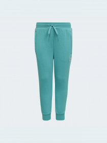 Спортивный костюм Adidas Adicolor модель HS8872 Фото