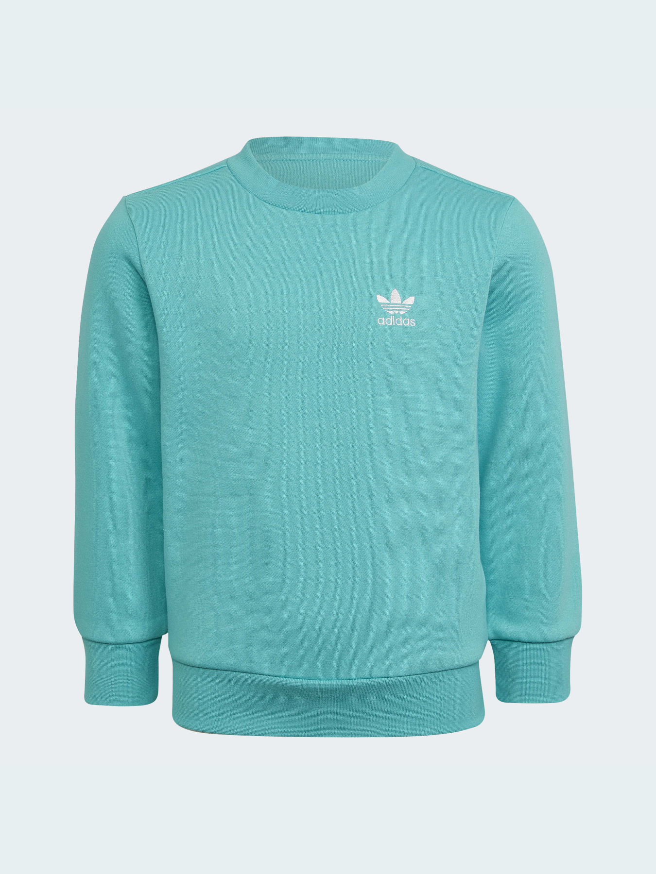 Спортивный костюм Adidas Adicolor модель HS8872 Фото