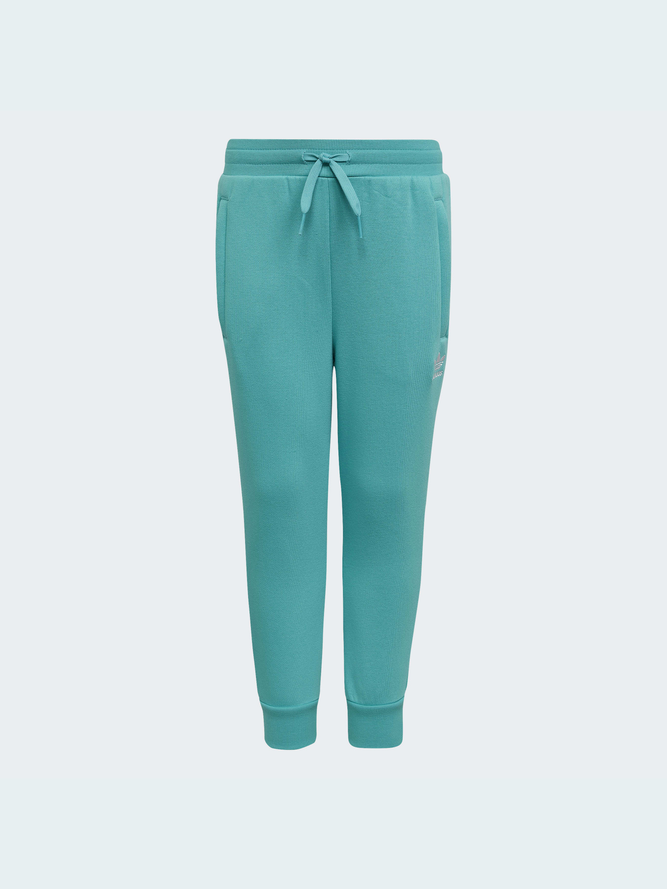 Спортивный костюм Adidas Adicolor модель HS8872 Фото