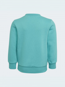 Спортивный костюм Adidas Adicolor модель HS8872 Фото