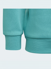 Спортивный костюм Adidas Adicolor модель HS8872 Фото