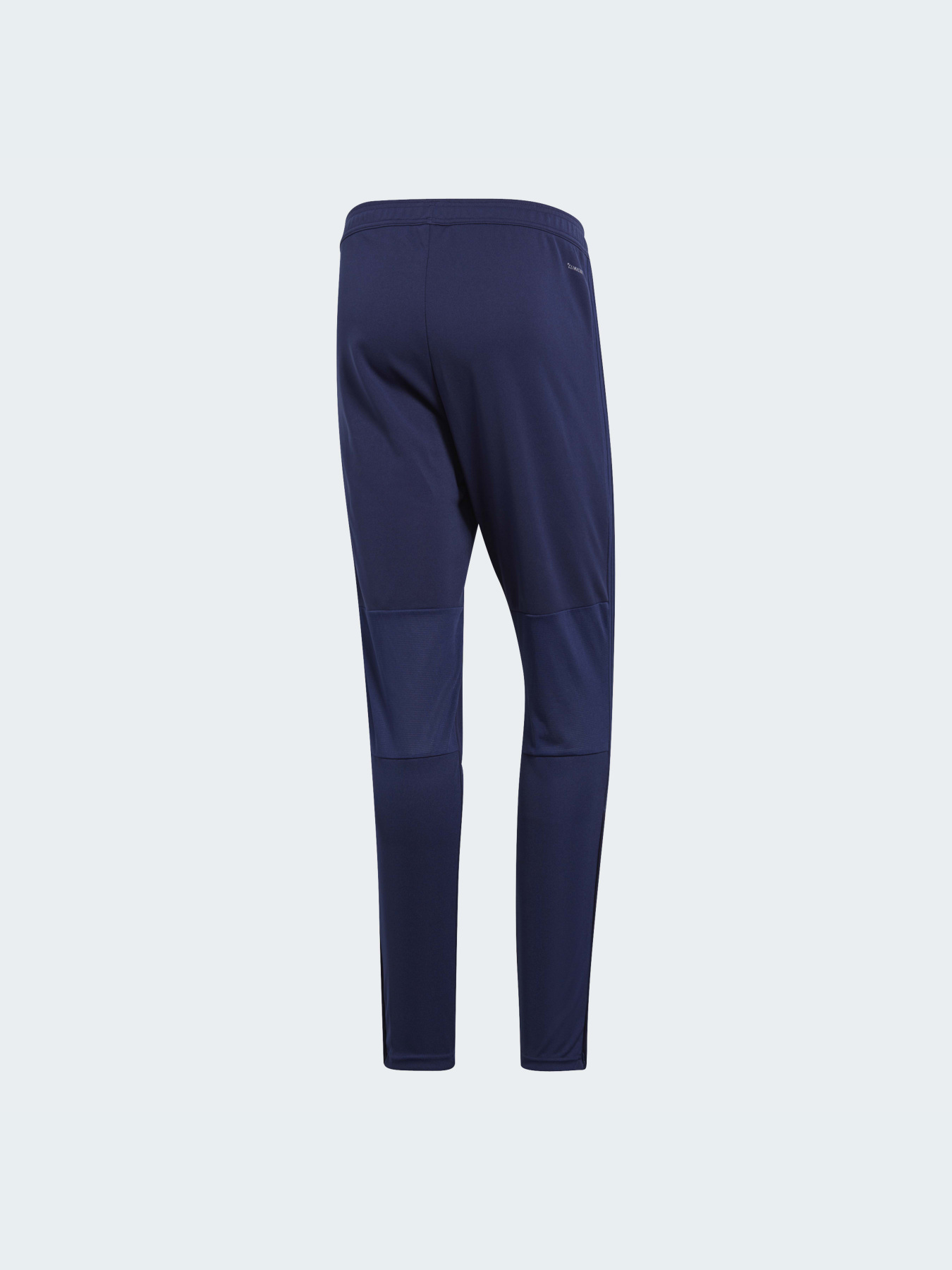 Брюки Adidas Condivo модель CV8243 Фото