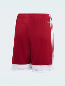 Шорти спортивні Adidas модель DP3685 Фото