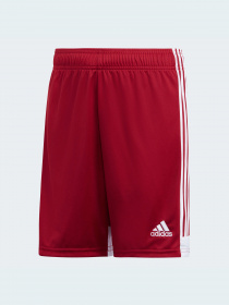 Шорти спортивні Adidas модель DP3685 Фото