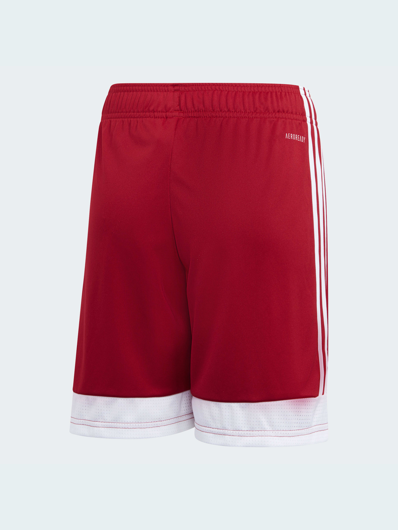 Спортивні шорти Adidas модель DP3685 Фото