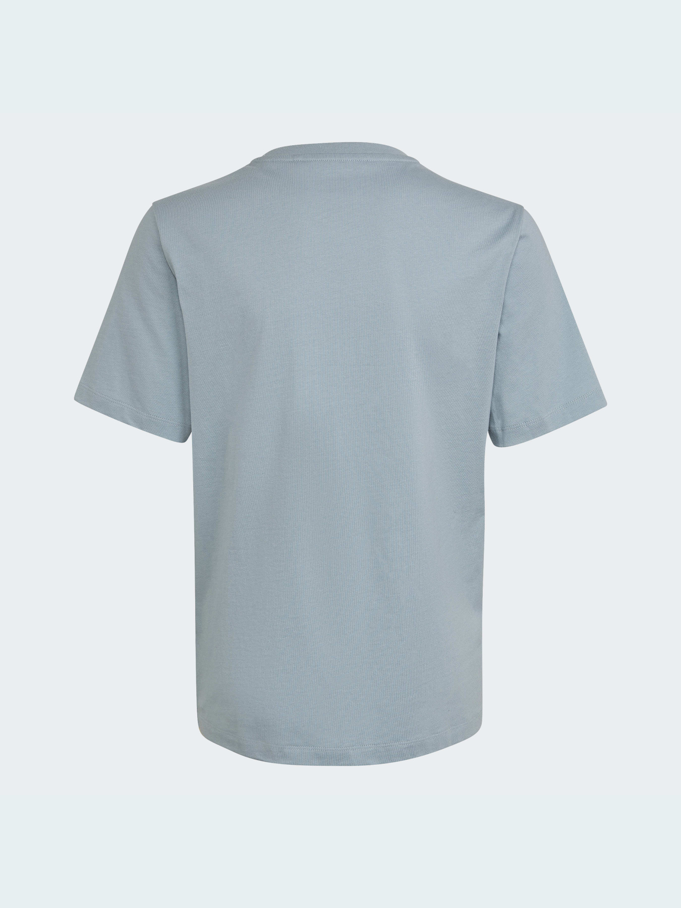 Футболка Adidas Graphics модель HL6872 Фото