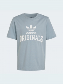 Футболка Adidas Graphics модель HL6872 Фото