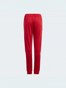 Штаны спортивные Adidas модель GN7445 Фото