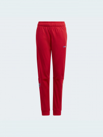 Штаны спортивные Adidas модель GN7445 Фото