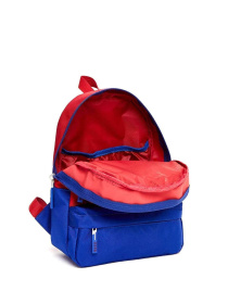 Рюкзак US Polo модель PLCAN22036.VR030 Фото