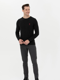 Джемпер US Polo модель G081GL0TK.000.1428984.VR046 Фото