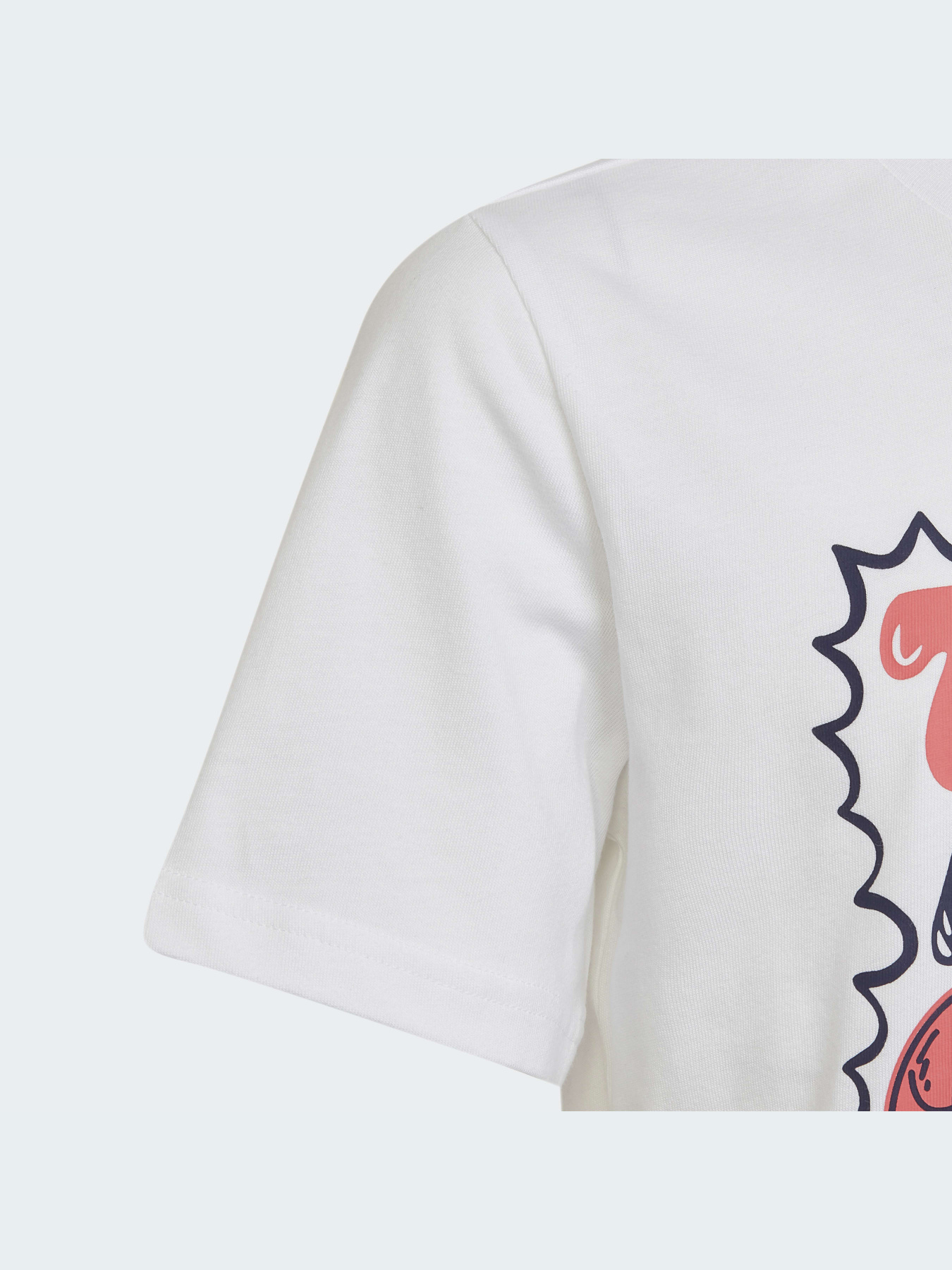 Футболка Adidas Graphics модель HA4054 Фото