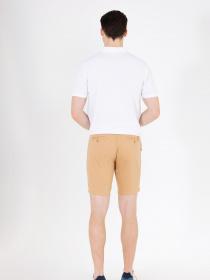 Повседневные шорты US Polo модель G081SZ031.000.1600253.VR015 Фото