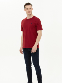 Футболка US Polo модель USPAINT.1571426.KR0215 Фото