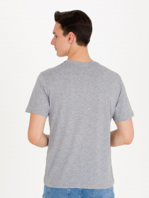 Футболка US Polo модель G081GL011.000.1572582.VR086 Фото