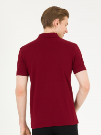 Поло US Polo модель G081GL011.000.1570718.KR0215 Фото