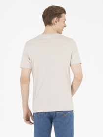 Футболка US Polo модель G081GL011.000.1573254.VR049 Фото