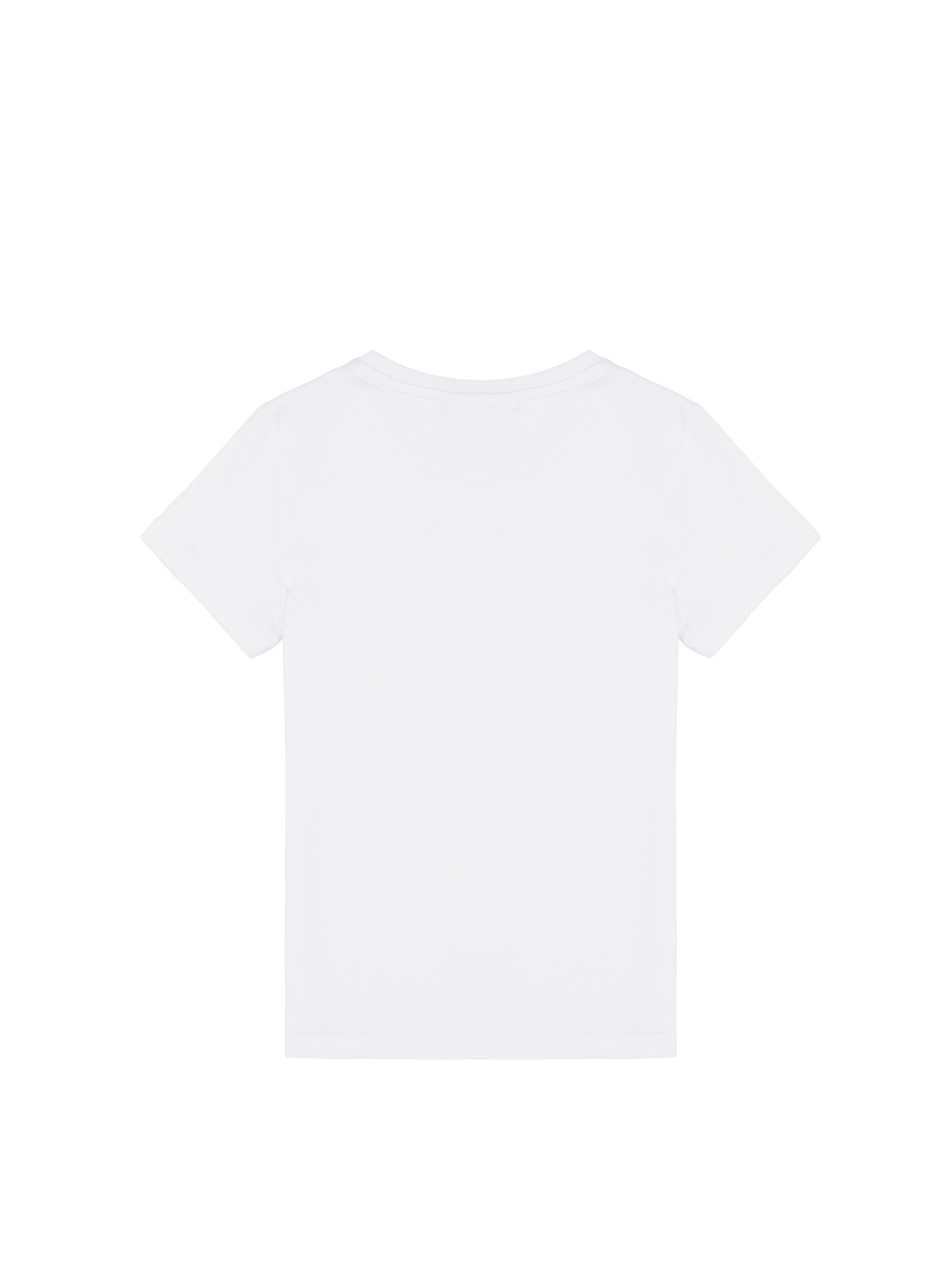 Футболка US Polo модель G083SZ011.000.1574147.VR013 Фото