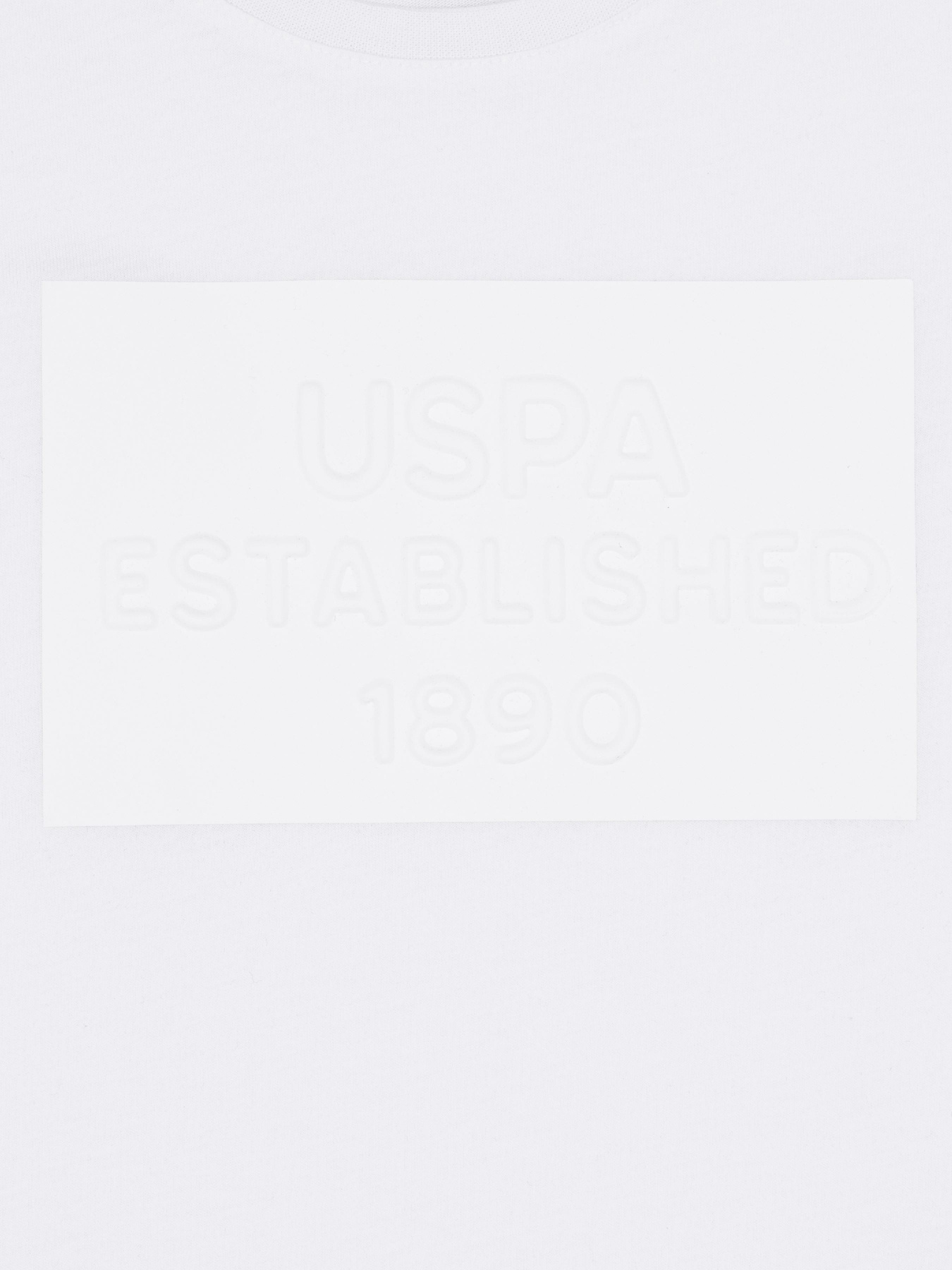 Футболка US Polo модель G083SZ011.000.1574147.VR013 Фото